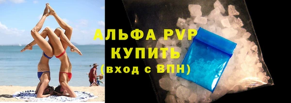 ПСИЛОЦИБИНОВЫЕ ГРИБЫ Верея