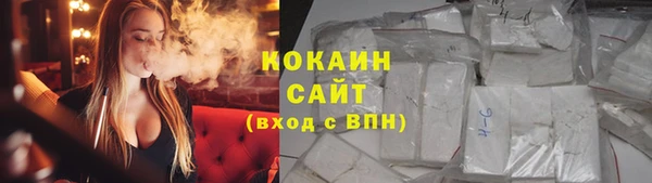 ПСИЛОЦИБИНОВЫЕ ГРИБЫ Верея