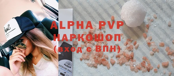 ПСИЛОЦИБИНОВЫЕ ГРИБЫ Верея