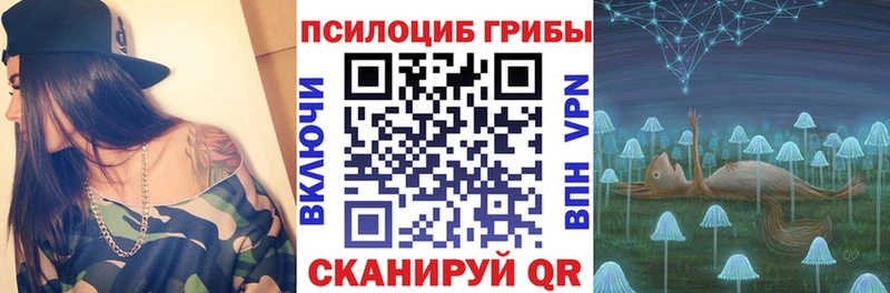 Псилоцибиновые грибы MAGIC MUSHROOMS  Купить закладки  Оренбург 